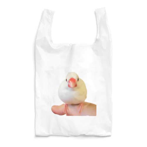 おしお Reusable Bag