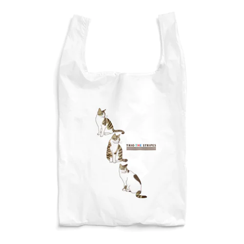 トリオ ザ ストライプ D Reusable Bag