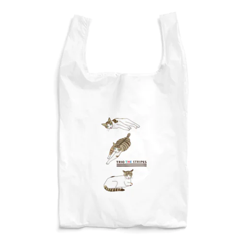 トリオ ザ ストライプ  C Reusable Bag