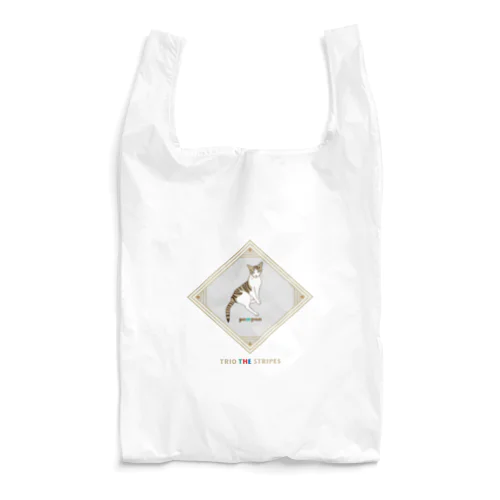  トリオ ザ ストライプ pompon A Reusable Bag