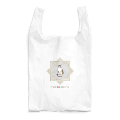 トリオ ザ ストライプ michi A Reusable Bag