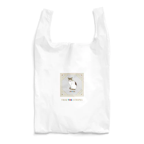 トリオザストライプ shimao A Reusable Bag