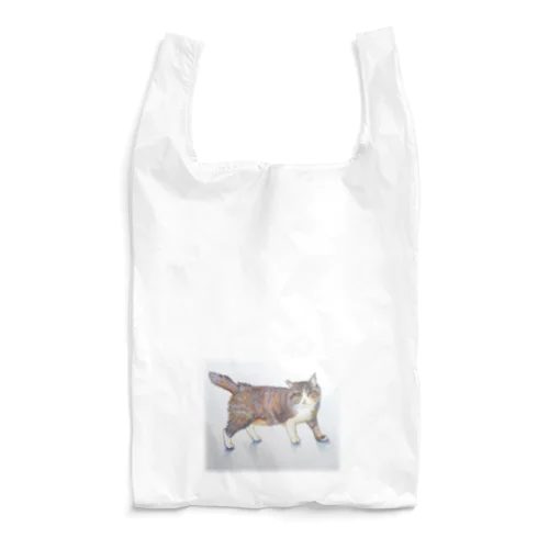 ボス猫鉛筆画小物 Reusable Bag