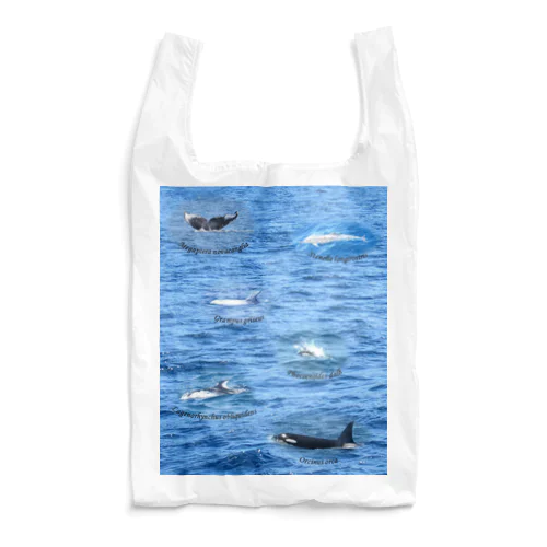 船上から見た鯨類(1) Reusable Bag