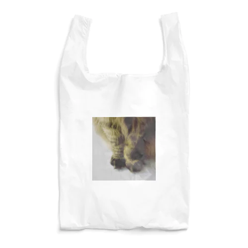 otete Reusable Bag