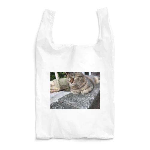 キジトラ猫 Reusable Bag