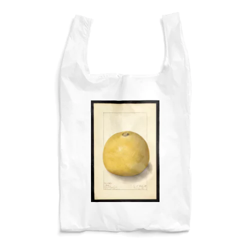 Aegle marmelos  Reusable Bag