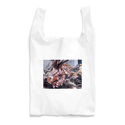 ドライフラワー Reusable Bag