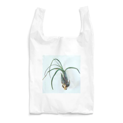 Tillandsia Reusable Bag