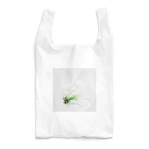 Tillandsia Reusable Bag