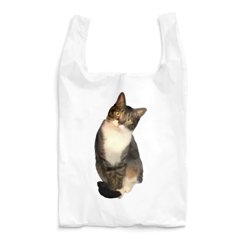 てんちゃん Reusable Bag