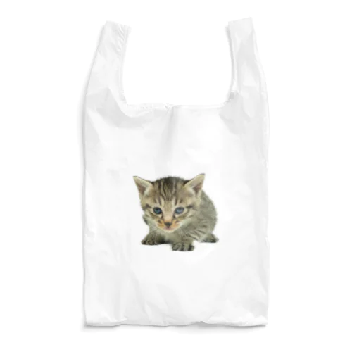 Pino Reusable Bag