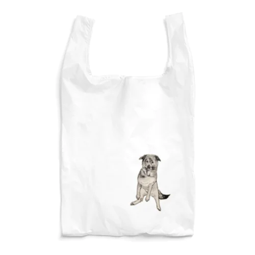 hozu Reusable Bag