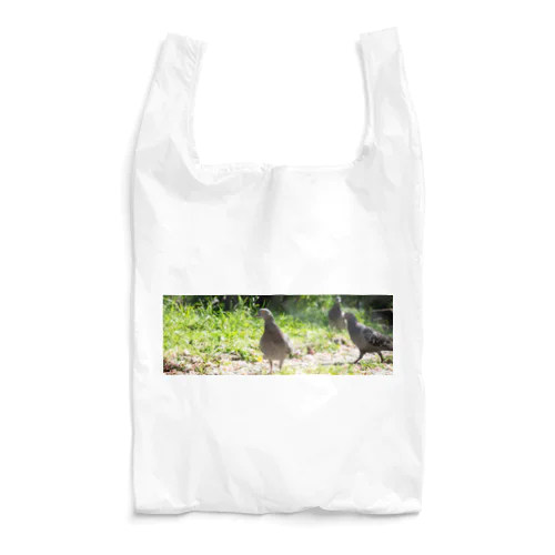 出会い頭に、鳩 Reusable Bag