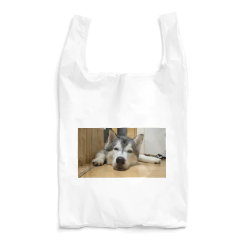 うっとりこてつ Reusable Bag