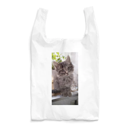 ふわりん銀 Reusable Bag