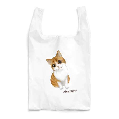 chataro Reusable Bag