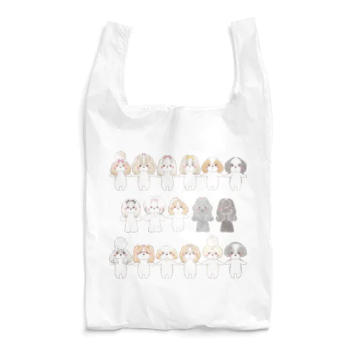 SHZ48 Reusable Bag