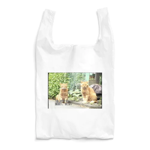 miniDVテープ「二匹の猫」 Reusable Bag