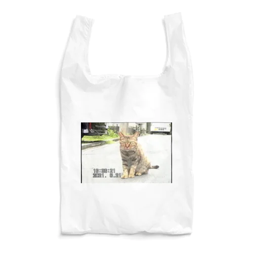 miniDVテープ「座る猫」 Reusable Bag