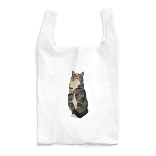 Tabby Cat Reusable Bag