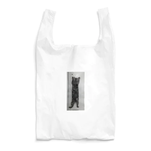 猫タンブラー Reusable Bag