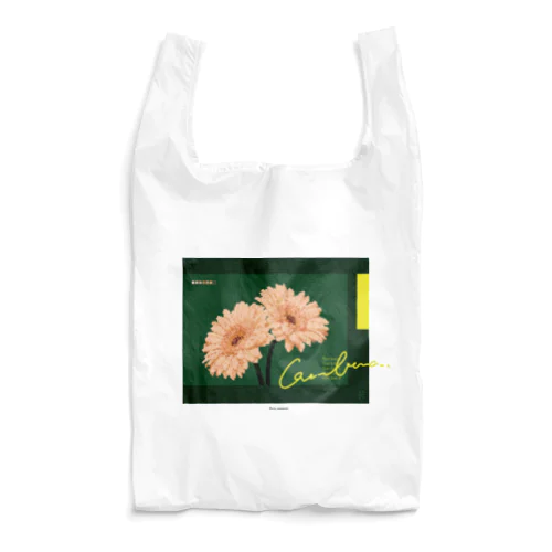  mosaic gerbera B05 Reusable Bag