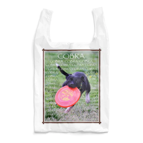 COBRA3 Reusable Bag