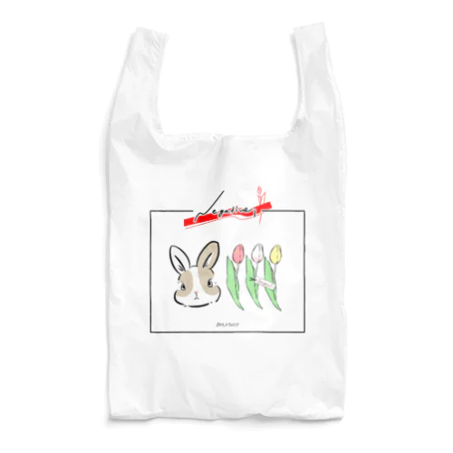 ROLIP Reusable Bag