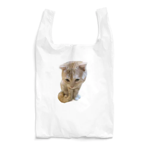 キャッツ Reusable Bag