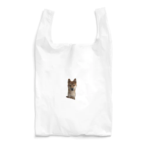 太郎 Reusable Bag