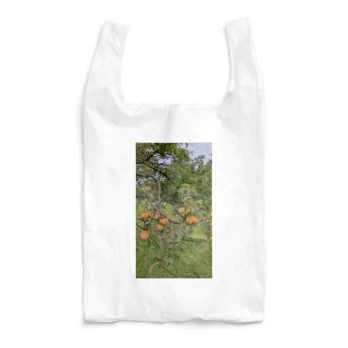 梅柄 Reusable Bag