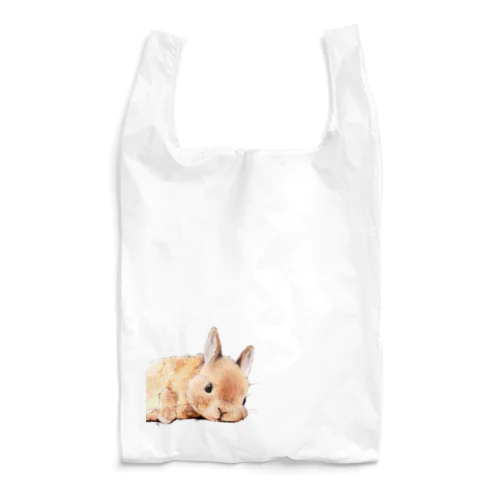 ごろもふうささん Reusable Bag