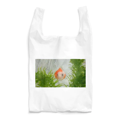 ピンポンパールのまるちゃん Reusable Bag