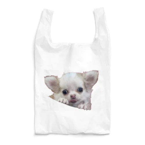 もぐもぐたん Reusable Bag