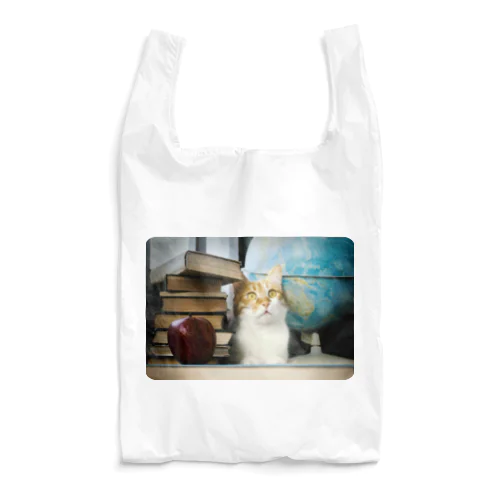 図書館猫 Murchik ♡ Librarian Cat ♡ Ukrainian cat ウクライナ 本と猫 Donation Items Reusable Bag