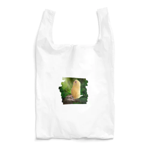 ６代目ピピちゃん✨ Reusable Bag