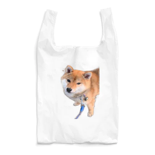 ブルーくんグッズ Reusable Bag