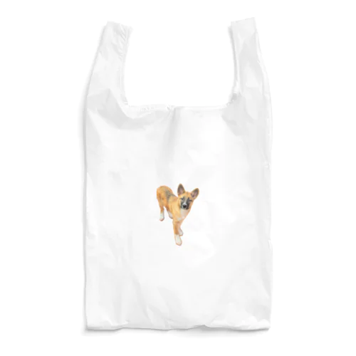 hinataokami Reusable Bag
