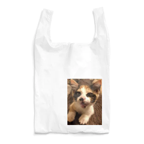 シャー Reusable Bag