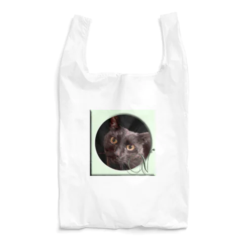 v Reusable Bag