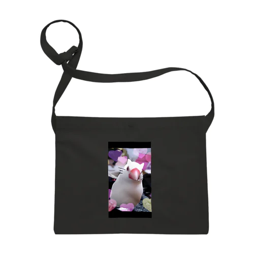 ぶん猫しりーず Sacoche