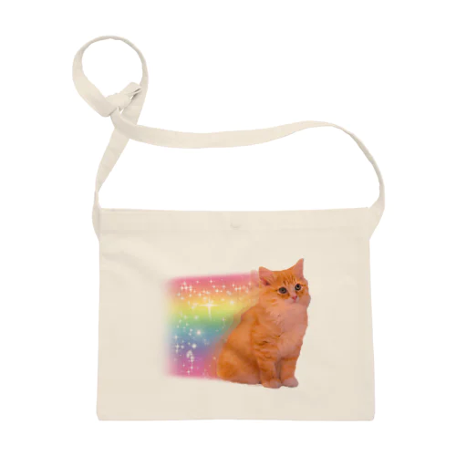 rainbow cat Sacoche