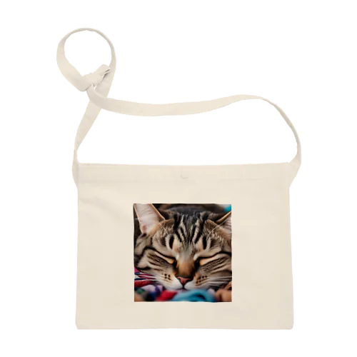 寝ている猫 Sacoche