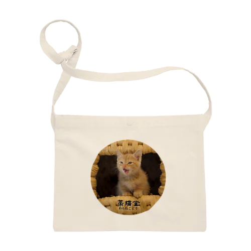 子猫のきんちゃん Sacoche