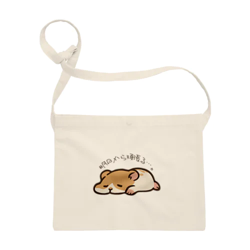 ぱむちゅぁん Sacoche