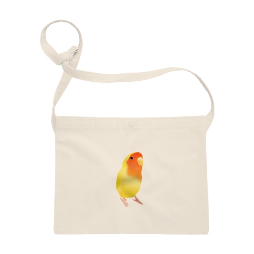 コザクラインコ　おすましルチノー【まめるりはことり】 Sacoche