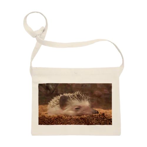 Sleepy Hedgehog サコッシュ