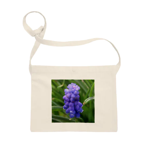 Muscari botryoides(1:1) Sacoche