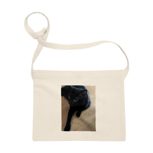 黒猫 Sacoche